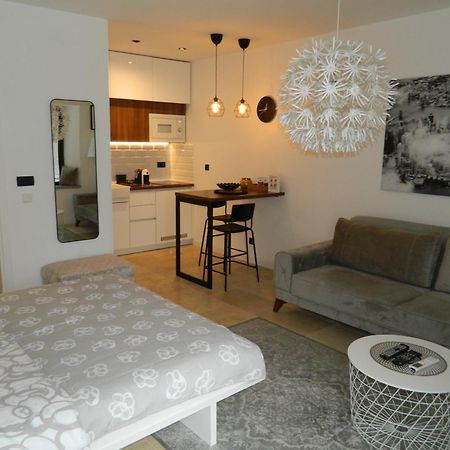 Appartement Rose Downtown à Podgorica Extérieur photo