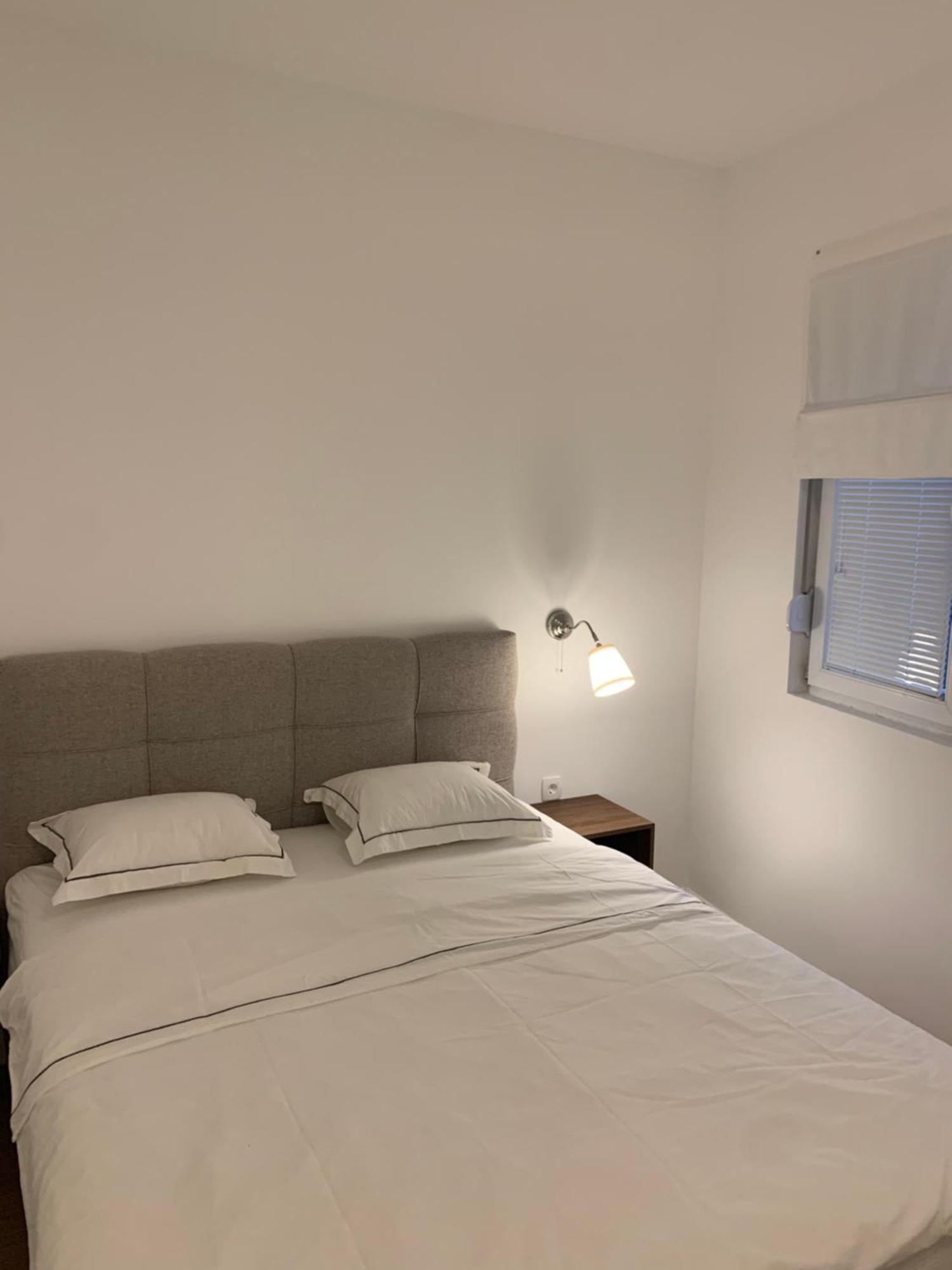 Appartement Rose Downtown à Podgorica Extérieur photo